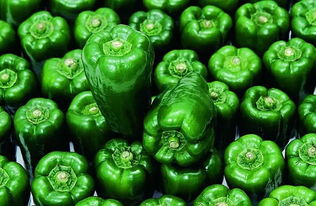 常吃青椒有预防癌症的功效 你知道吗